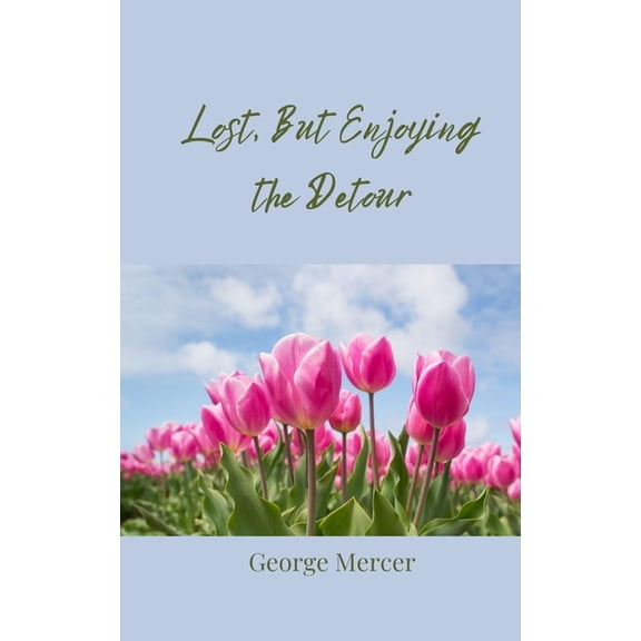 Lost, But Enjoying the Detour, (Paperback)