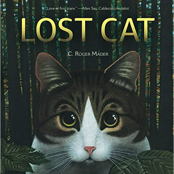 Pre-Owned Lost Cat, 9780547974583, 0547974582, Hardcover, First Edition edition