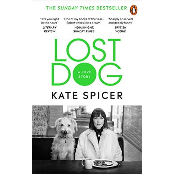 Pre-Owned Lost Dog (Paperback) 1785039202 9781785039201