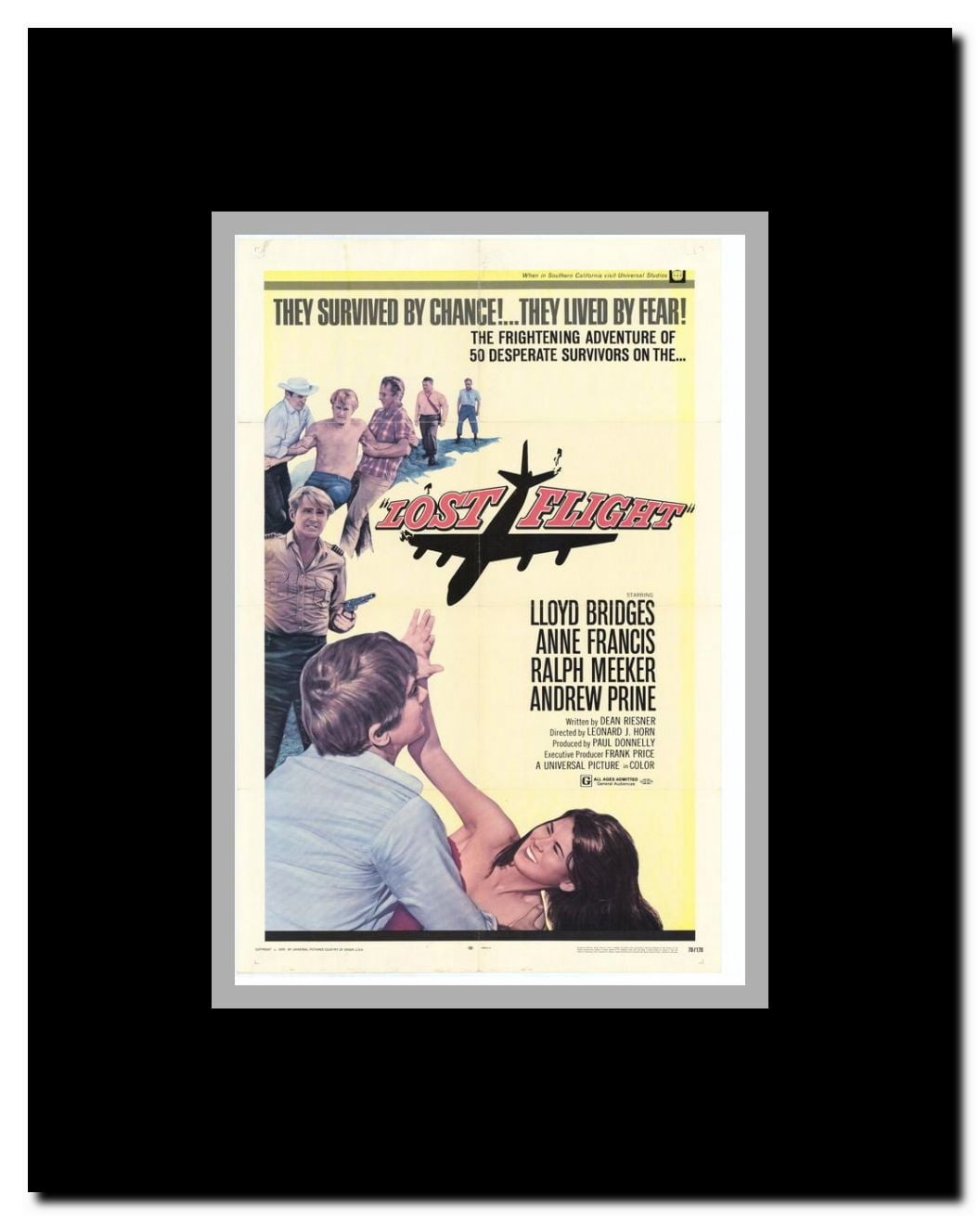Lost Flight Framed Movie Poster