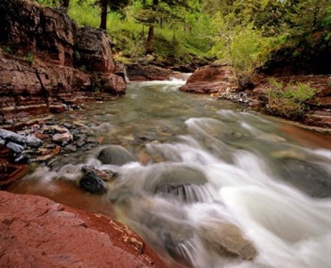 Lost Horse Creek Wateron Lakes National Park Alberta Canada Canvas Art - Chuck Haney DanitaDelimont (20 x 16)