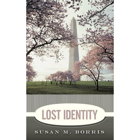 Lost Identity (Paperback)
