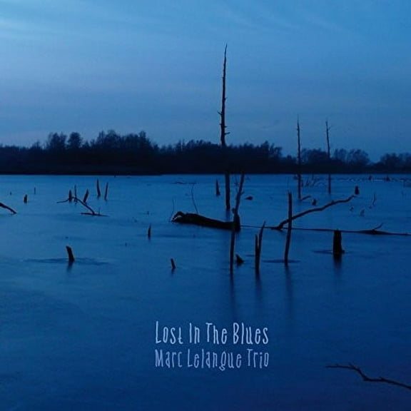 Lost In The Blues (CD)