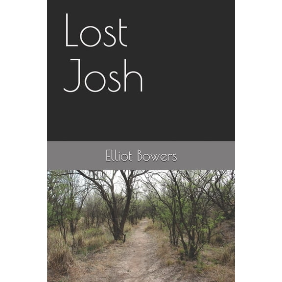 Lost Josh (Paperback)