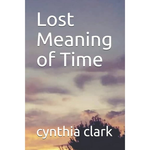 Lost Meaning of Time (Paperback)