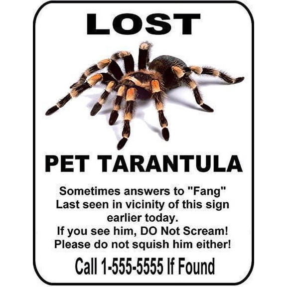 Lost Pet Tarantula Funny Metal Aluminum Sign Size: 16 x 12 Inch