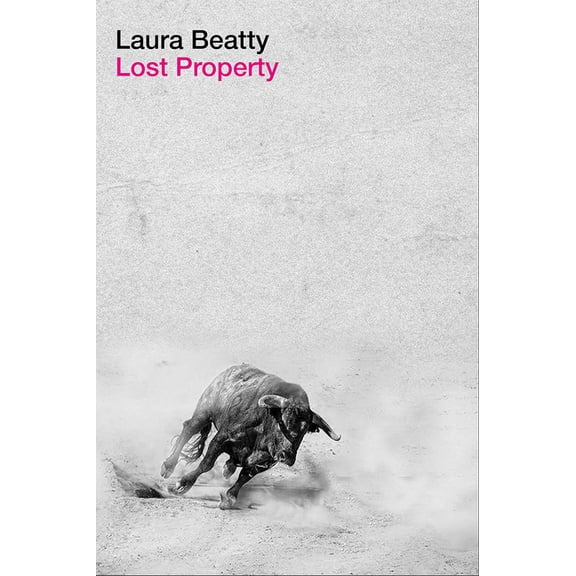 Lost Property (Hardcover)