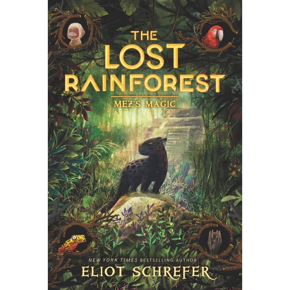 Lost Rainforest The Lost Rainforest: Mez's Magic, Book 1, (Paperback)