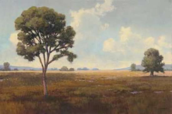 Lost River I Canvas Art - Allan Stephenson (12 x 18)
