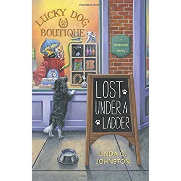 Pre-Owned Lost Under a Ladder (Paperback) 0738740772 9780738740775