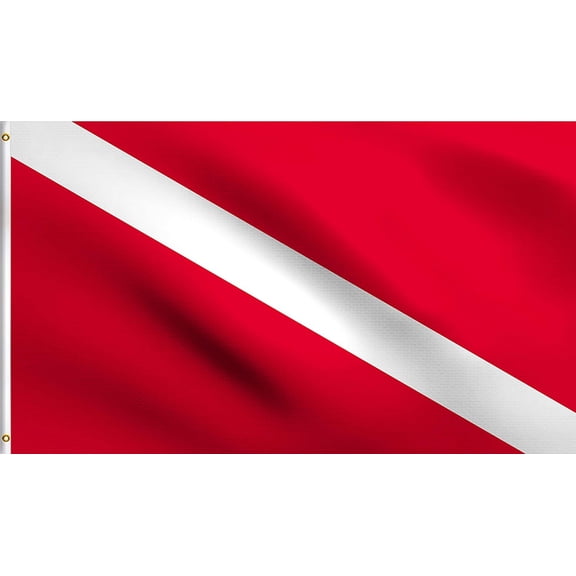 Lost Winds Dive Flag