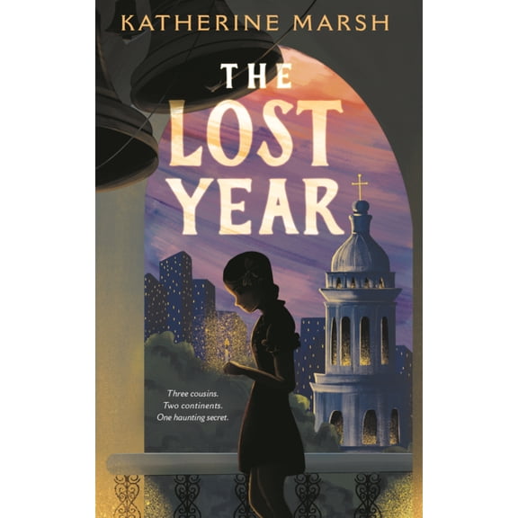 Lost Year, (Hardcover)