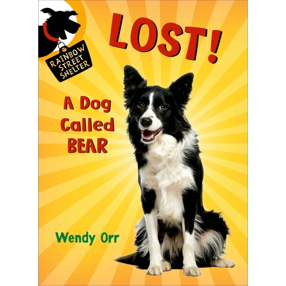 Pre-Owned Rainbow Street Shelter: Lost! a Dog Called Bear (Paperback)