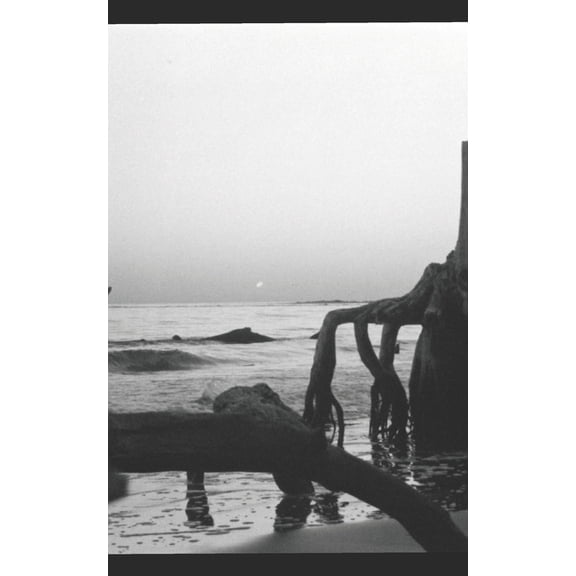 Lost at Sea (Paperback)