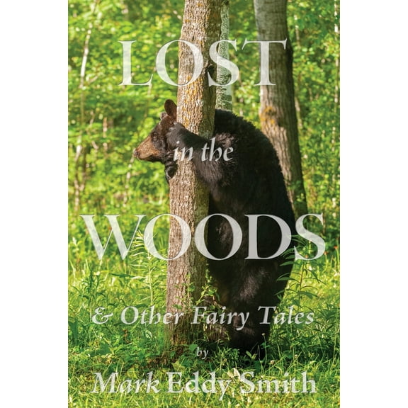 Lost in the Woods: & Other Fairy Tales (Paperback)