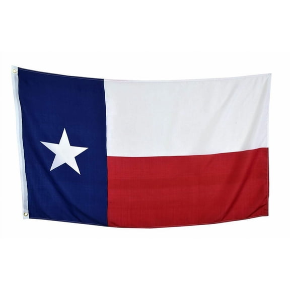 (Lot of 10) 3x5 Texas Flag 3'x5' House Banner grommets super polyester