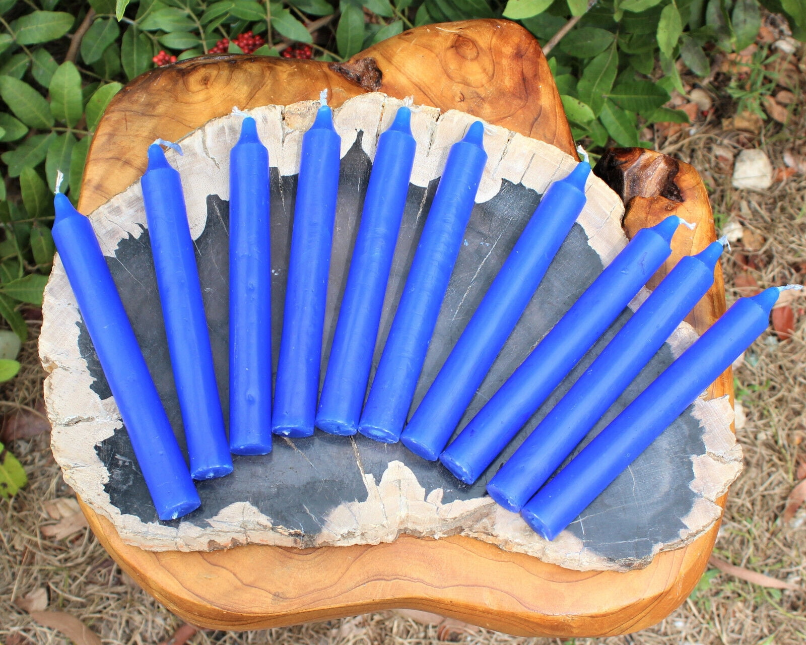 Lot of 10 x 6