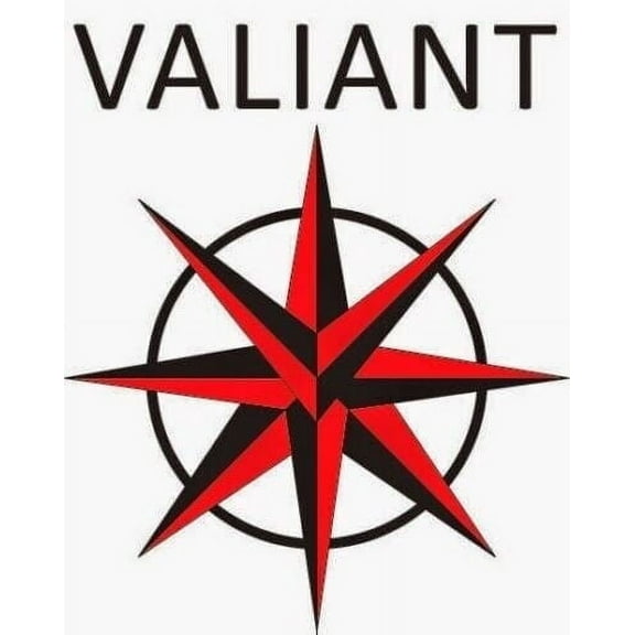 Lot of 100 Valiant Comic Books - no duplication - wholesale deal - grab bag ; Bulk