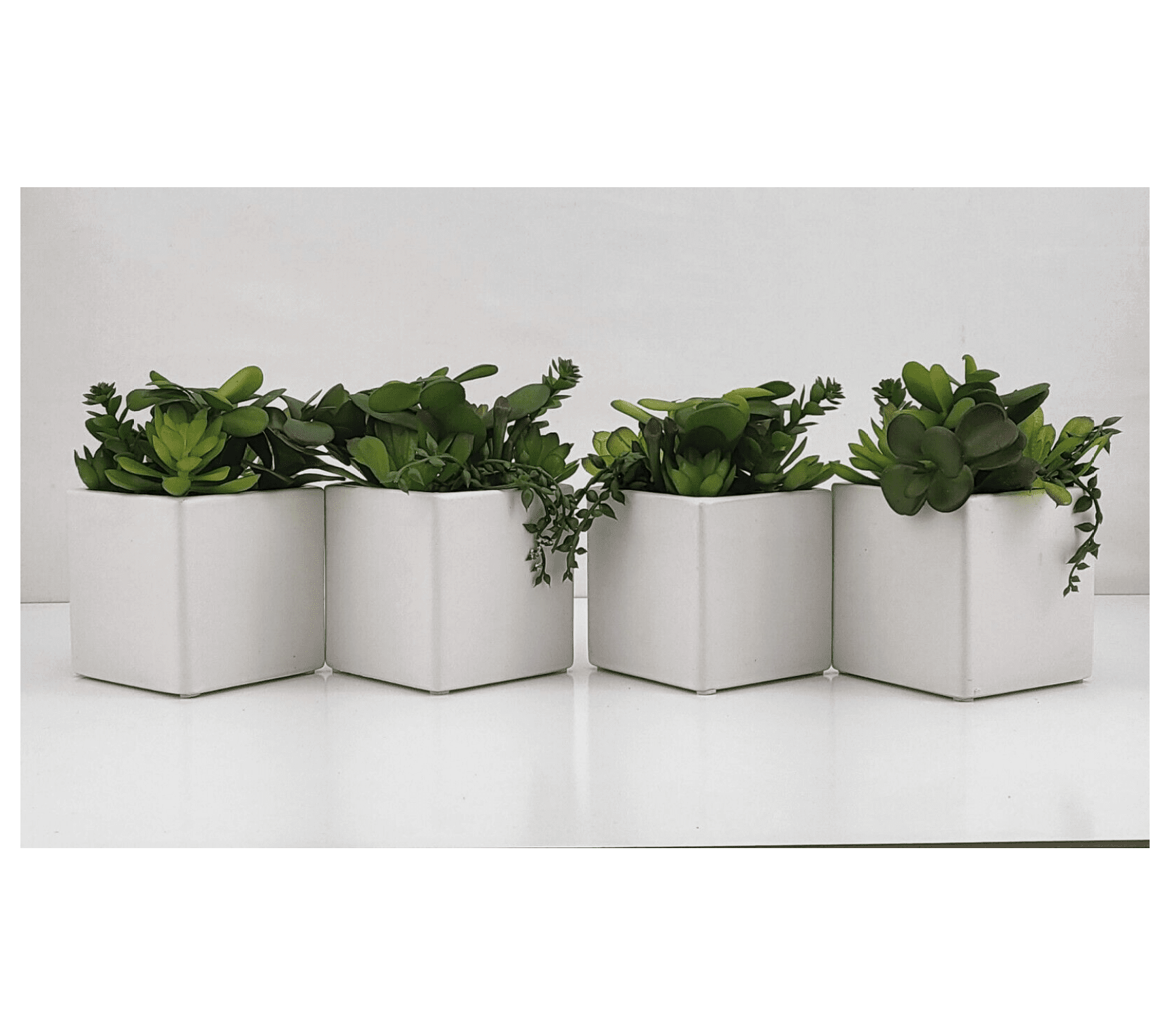 Lot of 4 Mini Artificial Succulent Fake Plants Ceramic White Planter ...