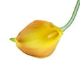 thumbnail image 1 of Lot of 60-Real Touch calla lilies (2-tone-Gold Yellow), 1 of 1