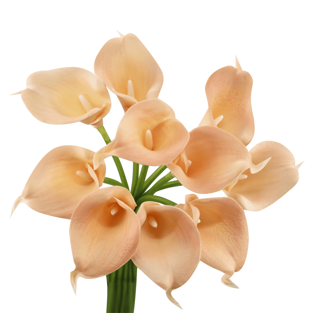 Callaco Lot of 60-Real Touch calla lilies (Peach) - Walmart.com