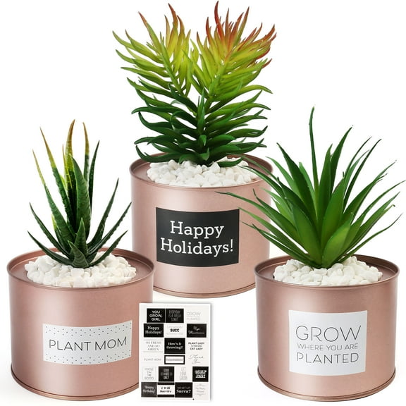 LotFancy Artificial Plant, 3Pack 8" Faux Succulent Plants for Office Home Dcor