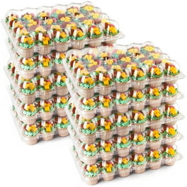 https://i5.walmartimages.com/seo/LotFancy-Cupcake-Containers-24-Count-x-10-Sets-Cupcake-Boxes-Plastic-Clear-Cupcake-Carrier-Holders_85c728dd-9d3e-456e-9990-06ade0cdaadb.df23e67b19ae30919f9c58c4490510f3.jpeg?odnHeight=264&odnWidth=264&odnBg=FFFFFF