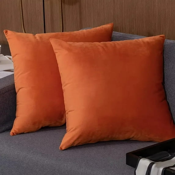 Lotechicw 2pcs Velvet Soft Solid Decorative Square Cushion Cover 18*18 Inch