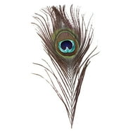 Efavormart 12 Pack | 13"-15" Black Natural Plume Real Ostrich Feathers ...