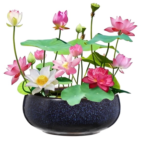 Lotus Bowl Planter, 6.5 in x 2.6 in Ceramic Planter Bowl, Wide Shallow Bonsai Bowl for Succulents and Water Lotus, Blue Glazed Decorative Centerpiece for Patio, Living Room, Office