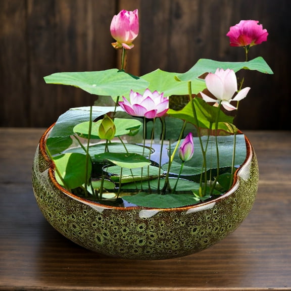 Lotus Bowl Planter â 8" Ceramic Water Pot Bonsai Bowl Lotus Flower,Shallow Glazed Vase for Lotus Seeds,Bonsai,Succulents,Hydroponic Plants(Dark Green)