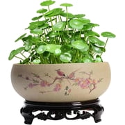 Lotus Bowls for Planting in Water Indoors, Chinese Ceramic Lotus Bowl Planter with Stand, Hydroponic Bonsai Lotus Bowl for Office Garden Indoor Outdoor, Large Bowl Planter, Planter Bowl