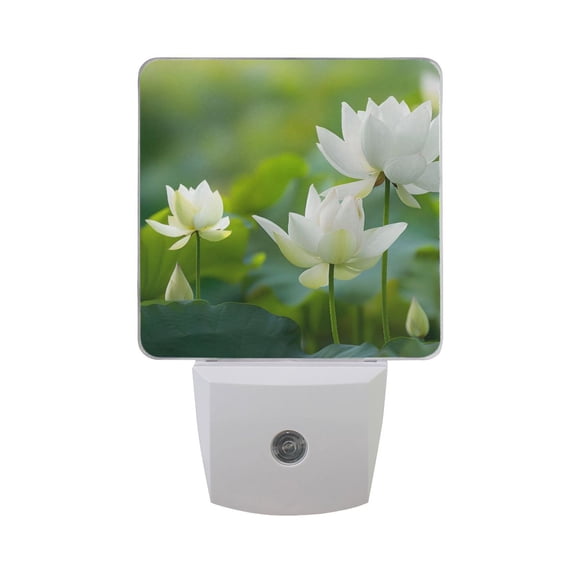 Lotus Flower Blooming Night Light 2 Pack LED Nightlight Plug into Wall Dusk to Dawn Sensor Soft White