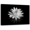 thumbnail image 1 of Lotus Flower Canvas Wall Art Black and White Floral Painting Print Zen Pictures Bathroom Decor Frame Ready to Hang (Black and White Lotus Flower - 4, 8"x10"(20x25cm)), 1 of 6