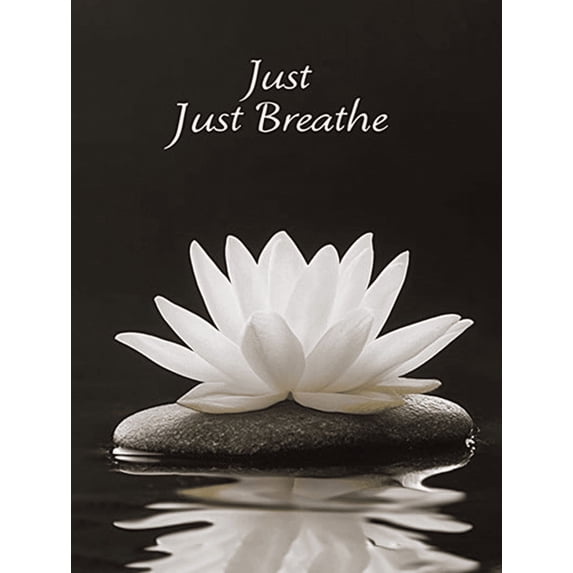 Lotus Flower Decorative Painting/Canvas Art, Suitable for Living Room, Bedroom, Yoga Studio, Meditation Room, Spa, Office, Bathroom, Peaceful Home Decor, Serene Wall Art, Minimalist Decor