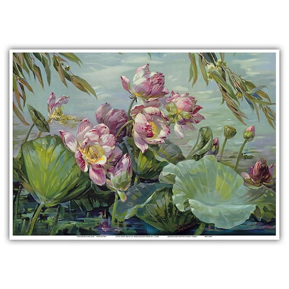 Lotus Land Magic - Lotus Blossoms and Leaves - Vintage Botanical Illustration by Maria Berger Smeraldi c.1950s - Master Art Print 10in x 14in