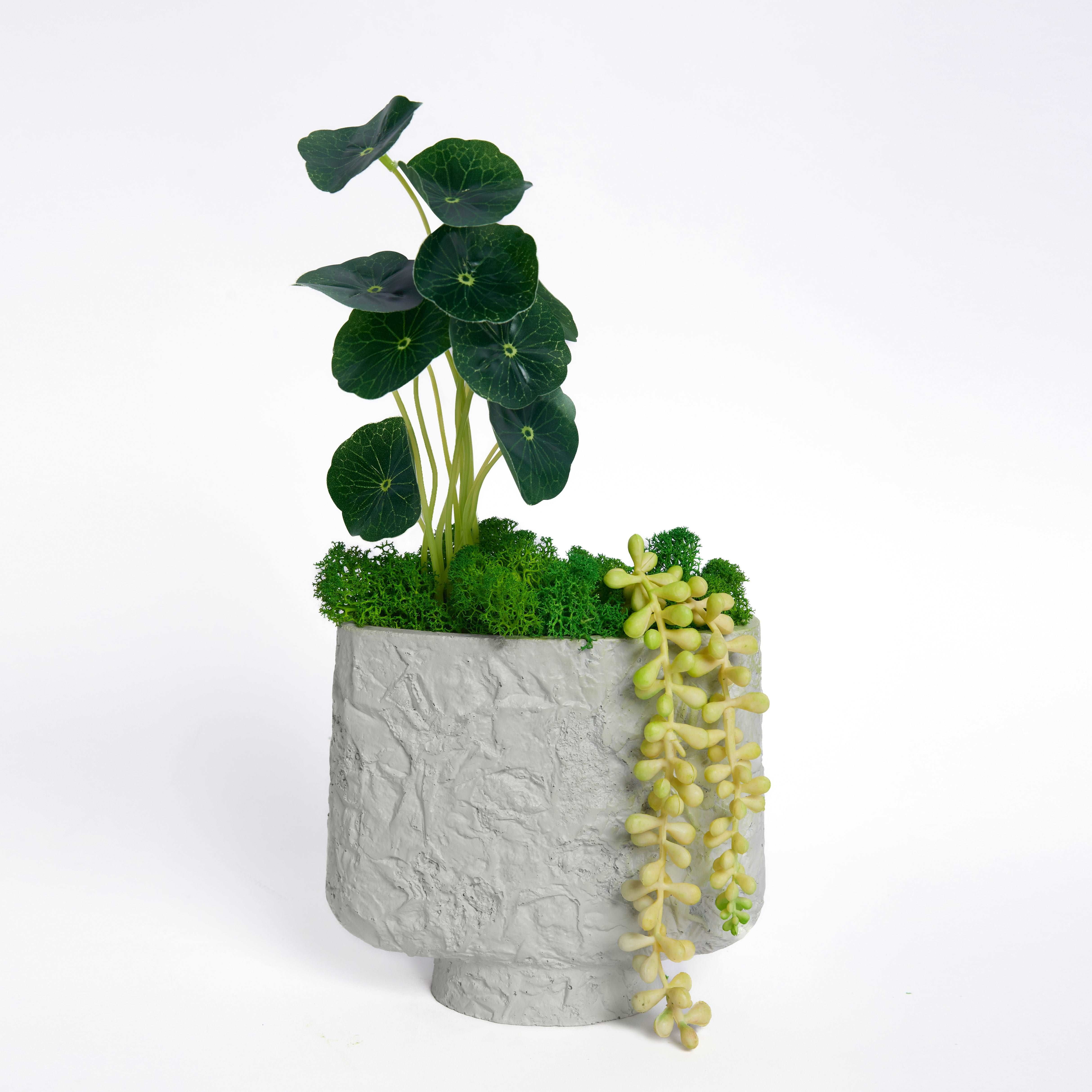 Lotus Leaf Moss Art - Textured Flat Vase Arrangement with Preserved Moss and Faux Succulents