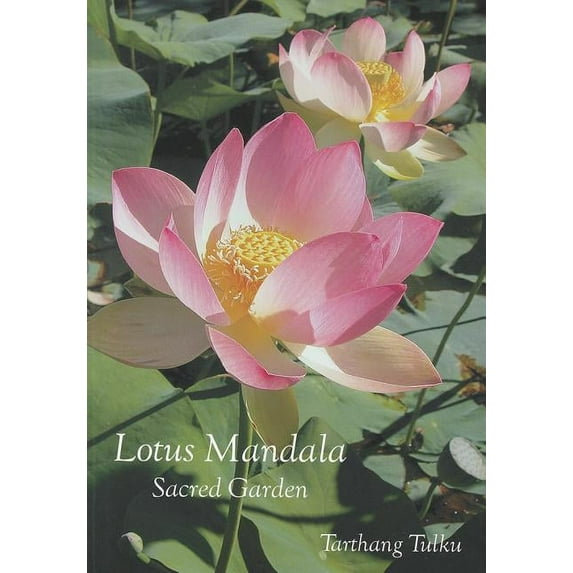 Lotus Mandala : Sacred Garden (Paperback)
