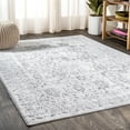thumbnail image 1 of JONATHAN Y SILK ORCHID 4 x 6 Area Rug, Lotus Persian Floral - Gray, SOR100A-4, 1 of 8