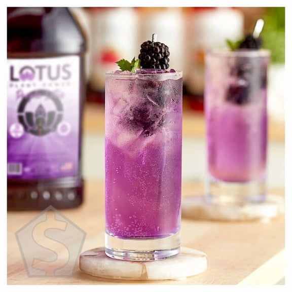 Lotus Plant Power Sugar-Free Purple Lotus 5:1 Energy Concentrate 64 fl. oz.