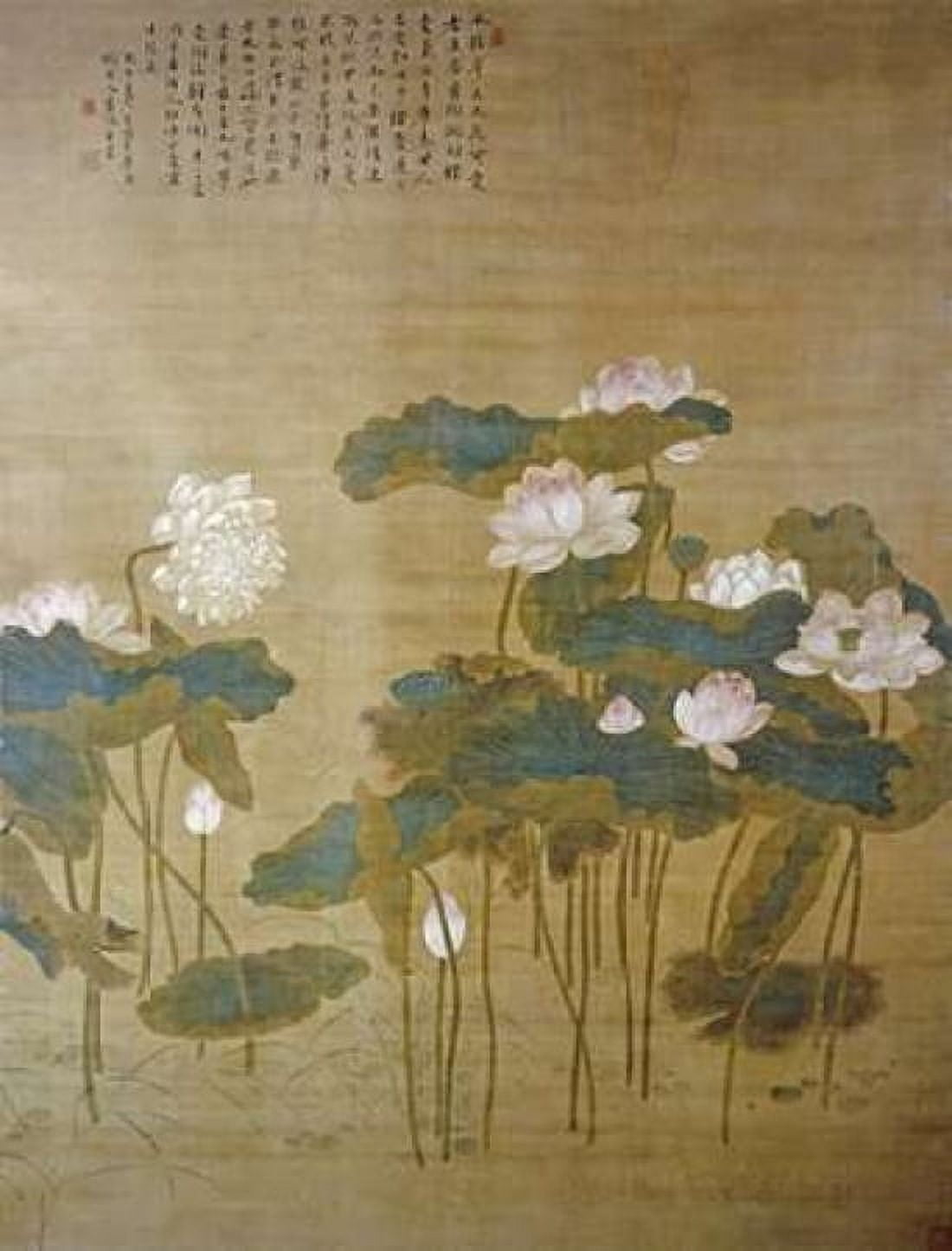 Lotus Pond Canvas Art - Hua Yan (22 x 28)