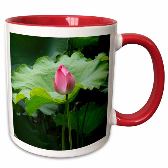 3drose, Lotus Pond in Humble Administrators Garden, Suzhou, China, 11oz Two-tone Red Mug