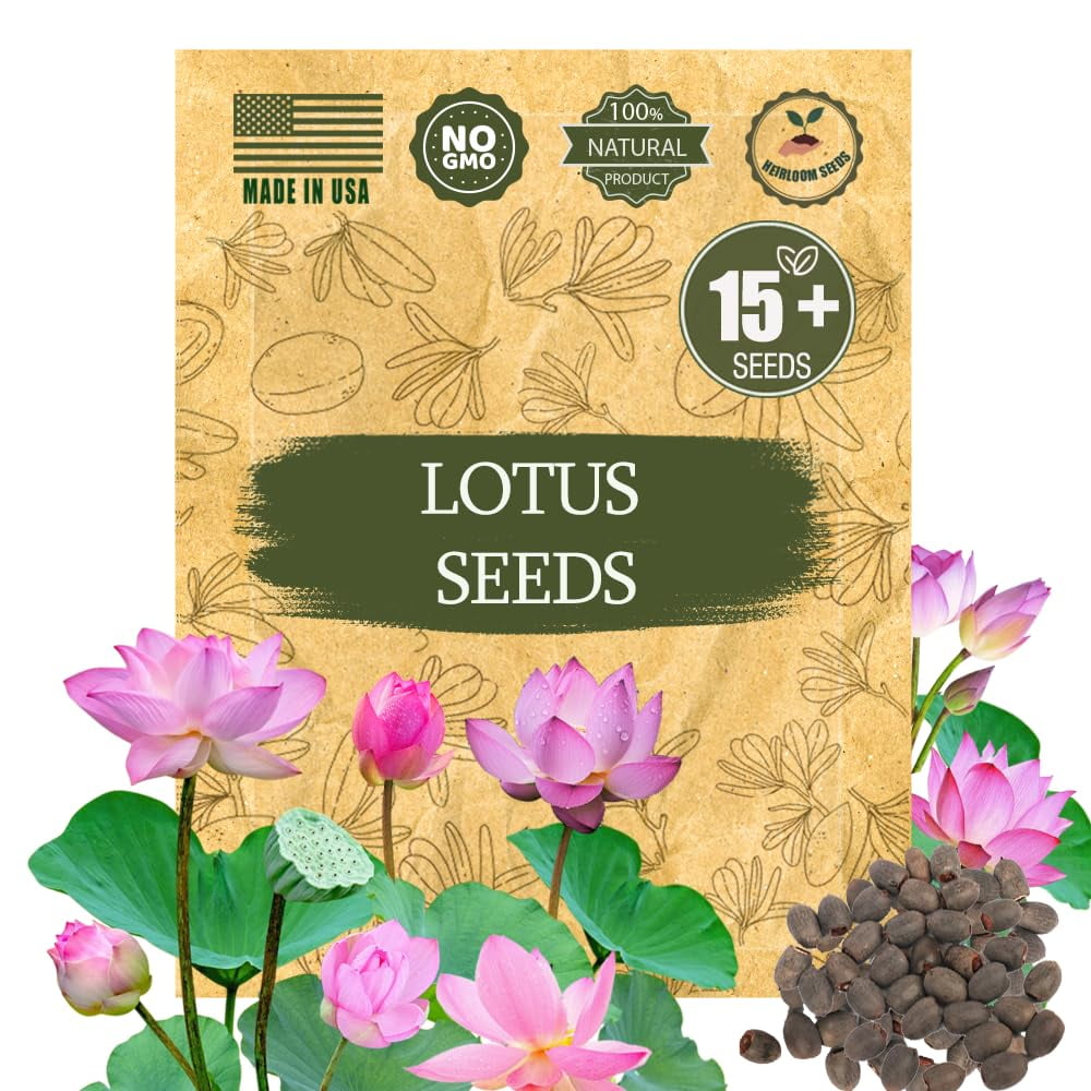 Mini Lotus Seeds