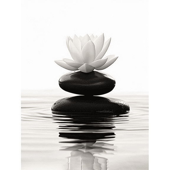 Lotus and Stones Decorative Painting/Canvas Art Suitable for Decorating Living Room Bedroom Bathroom OfficeWall Art Home Decor Modern Art Minimalist Design Black and White Photography.