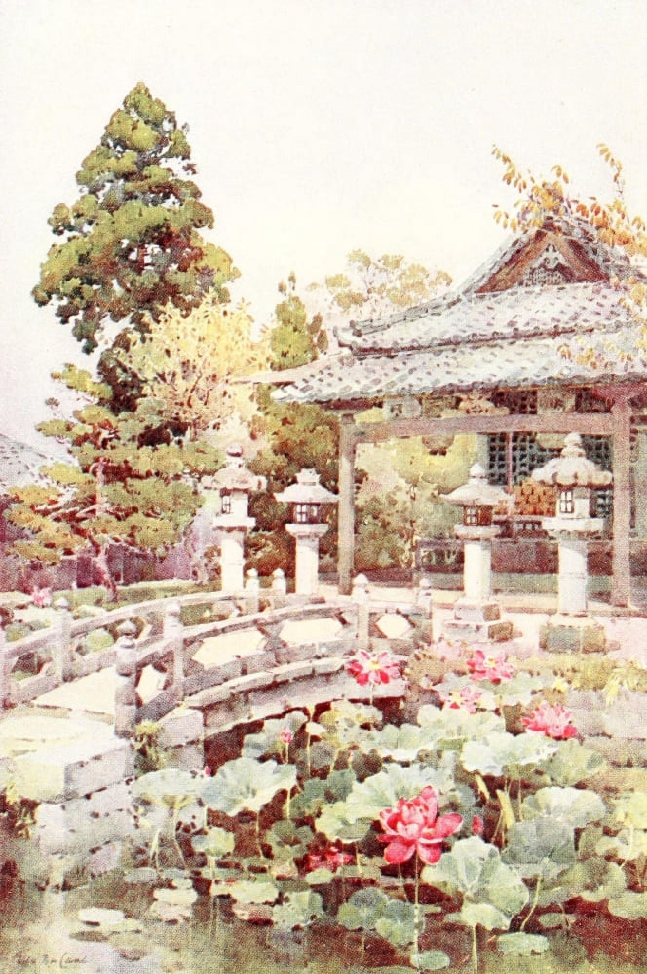 Lotus at Kyomidzu Flowers & Gardens of Japan 1908 Canvas Art - Ella Du Cane (18 x 24)