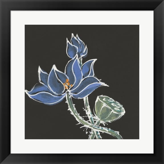Lotus on Black VI by Chris Paschke, Framed Wall Art, 19.5W x 19.5H