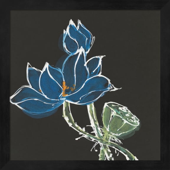 Lotus on Black VII by Chris Paschke, Framed Wall Art, 13.25W x 13.25H