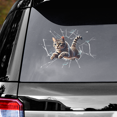 thumbnail image 1 of Lotusprinthandmade Cat Transparent Vinyl Decal (6x9 Inches), Cat Lovers Car Decal, 1 of 4