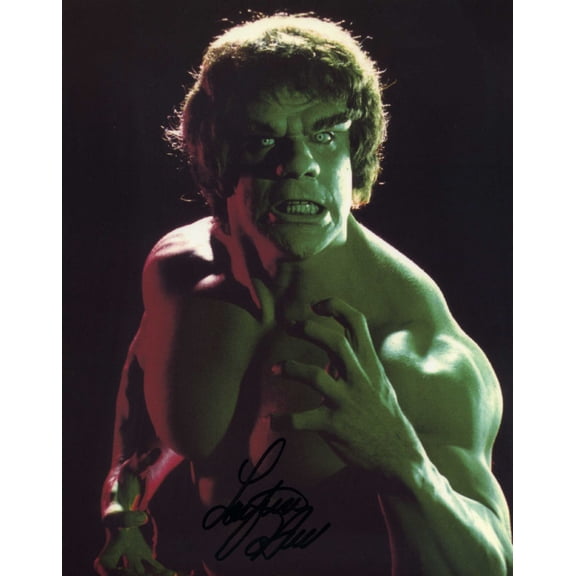 Lou Ferrigno Incredible Hulk Poster 16in x 24in 16x24 Multi-Color Square Adults Best Posters