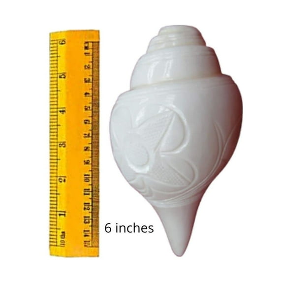 Loud Blowing Shankh for Pooja, Natural Conch Shell, Standard Size (6-7 inches) By Indian Collectible